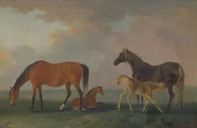 Klisny a hříbata, směřující doleva